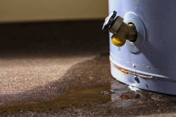 Best Flood restoration services  in Harrison, TN