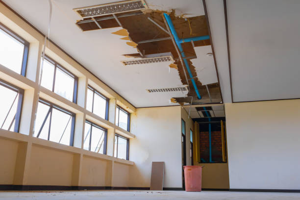 Best Water damage contractors near me  in Harrison, TN