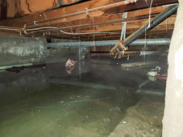 Trusted Harrison, TN Water damage restoration Experts
