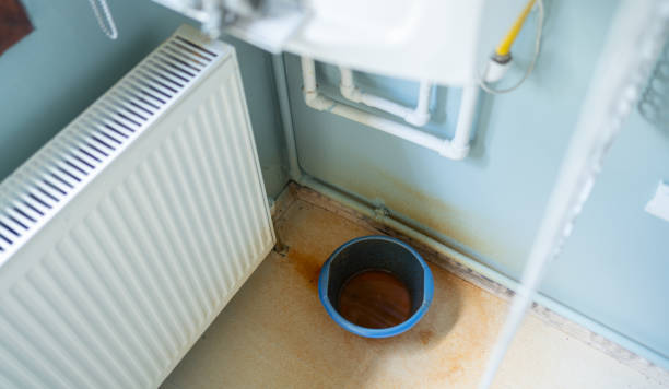 Best Water damage restoration near me  in Harrison, TN