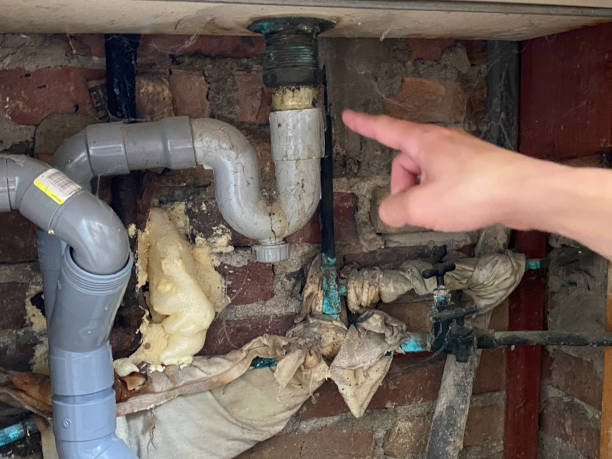 Best Carpet water damage restoration  in Harrison, TN