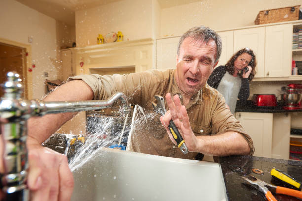 Best Water damage cleanup near me  in Harrison, TN